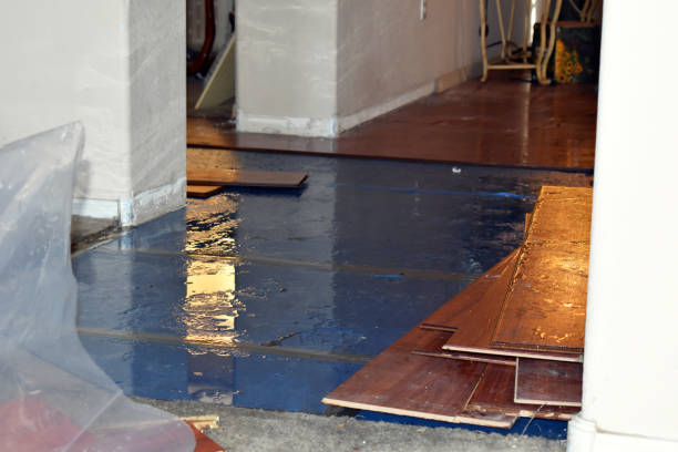 Professional Sewage Cleanup technician working in Kamrar, IA